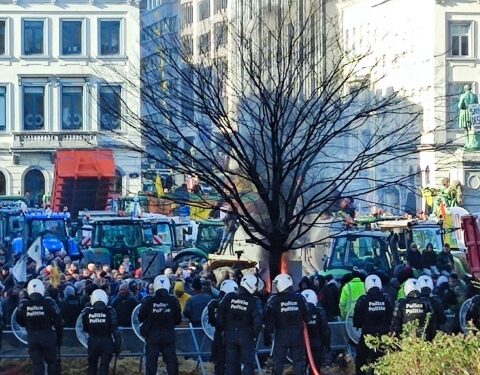 EL CAMPO EUROPEO ESTÁ QUE ARDE