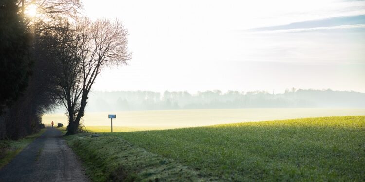 El Parlamento votará si prohibir las etiquetas de greenwashing