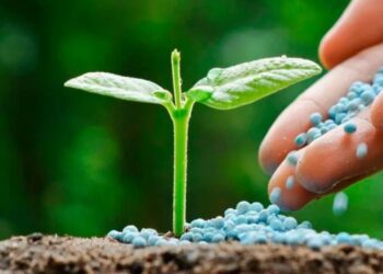 Etiquetado de fertilizantes: el Consejo y el Parlamento llegan a un acuerdo provisional para que sea más claro, sencillo y digital