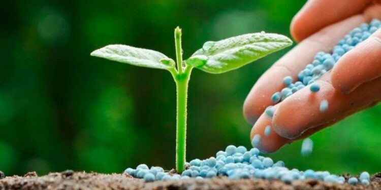 Etiquetado de fertilizantes: el Consejo y el Parlamento llegan a un acuerdo provisional para que sea más claro, sencillo y digital