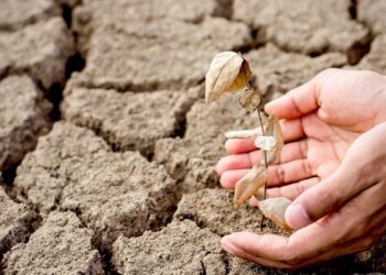 La UE gastó 2.500 millones de euros en ayudas de emergencia a los agricultores desde 2014 a 2023