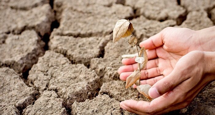 La UE gastó 2.500 millones de euros en ayudas de emergencia a los agricultores desde 2014 a 2023