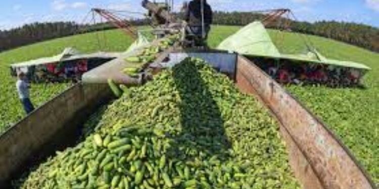 360 Grados: Órdago de los agricultores a Bruselas