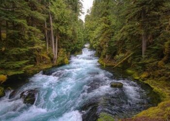 La Comisión propone modernizar los servicios de información fluvial en la UE