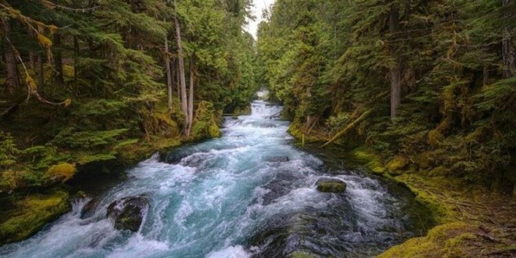 La Comisión propone modernizar los servicios de información fluvial en la UE