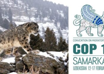 La UE celebra la CMS COP14 con el objetivo de mejorar la biodiversidad en Samarcanda
