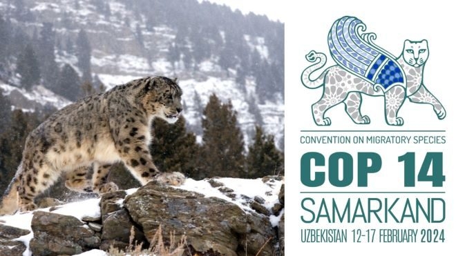 La UE celebra la CMS COP14 con el objetivo de mejorar la biodiversidad en Samarcanda