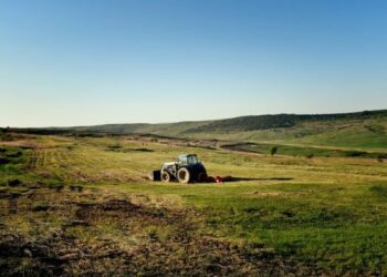 Los agricultores europeos quedan exentos del Reglamento sobre tierras en barbecho