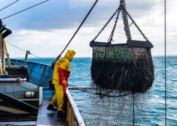 Medidas pesqueras actualizadas en el Atlántico nororiental: luz verde de la UE