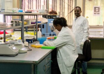 Unión Africana y la UE buscan fortalecer su cooperación mutua para mejorar la salud mundial