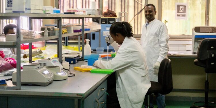 Unión Africana y la UE buscan fortalecer su cooperación mutua para mejorar la salud mundial