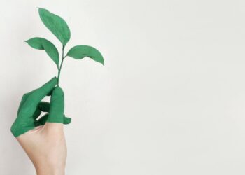 Nuevas reglas para evitar el greenwashing de los productos