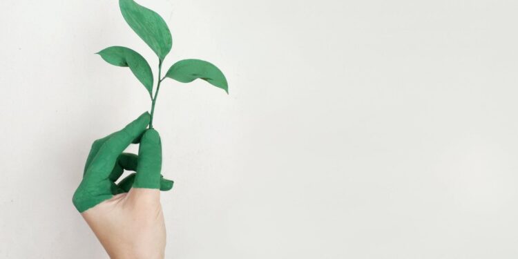 Nuevas reglas para evitar el greenwashing de los productos