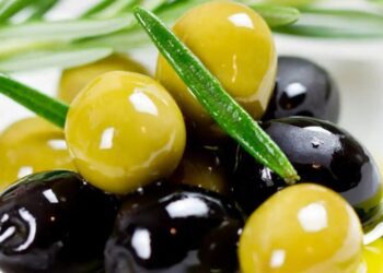 La OMC da la razón a la UE contra Estados Unidos en la disputa sobre aceitunas maduras españolas