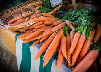 Un estudio concluye que el comercio de la UE abre un nuevo abanico de posibilidades para los exportadores agroalimentarios