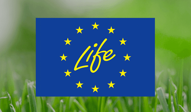 La Comisión invierte más de 233 millones en proyectos estratégicos de medio ambiente y clima