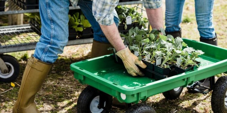 Nueva reforma de las normas sobre la protección de productos agrícolas de calidad