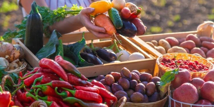 La UE cultivó 59,8 millones de toneladas de frutas y hortalizas en 2022