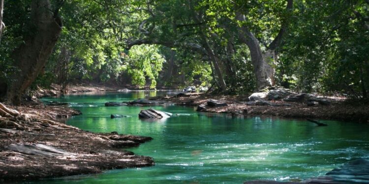 360 grados: Restaurar la naturaleza en la UE divididos