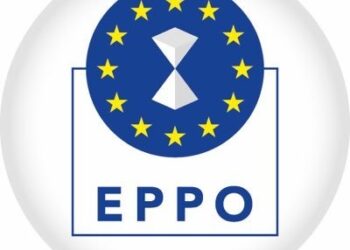 La Fiscalía Europea abre una investigación sobre el suministro de mascarillas en Canarias y Baleares