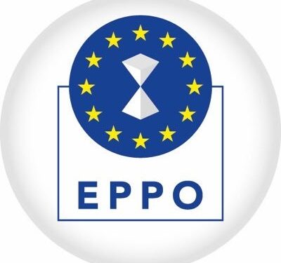 La Fiscalía Europea abre una investigación sobre el suministro de mascarillas en Canarias y Baleares