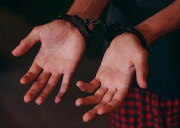 El Consejo y el PE adoptan un acuerdo provisional que mejorará la eficiencia en procedimientos de materia legal