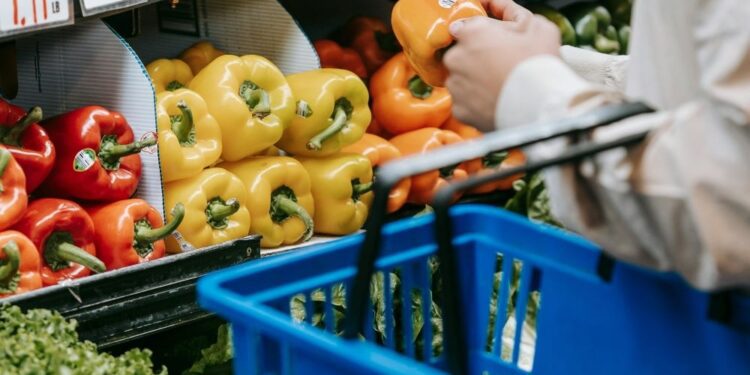 La Comisión publica la vía de transición para un comercio minorista resiliente, digital y ecológico