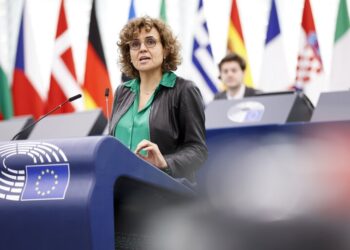 El Partido Popular lleva el caso Koldo al Parlamento Europeo