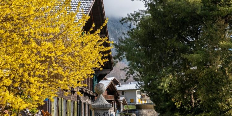 La UE y Suiza negocian una serie de medidas para profundizar sus relaciones bilaterales