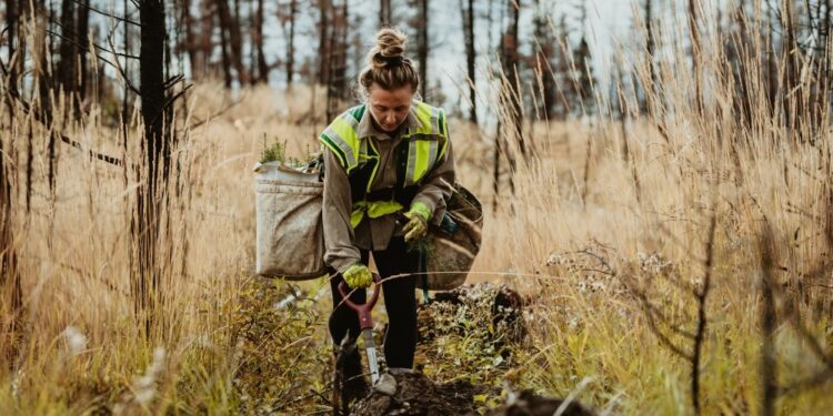 Los empleos forestales y de la industria maderera aumentan un 1,4% de 2012 a 2022