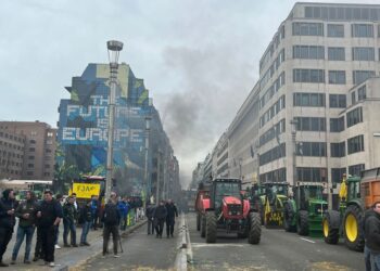 Bruselas vive una nueva oleada de protestas en pleno Consejo de Agricultura
