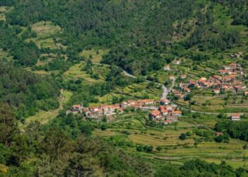 La Comisión presenta un informe que detalla los progresos a largo plazo en las zonas rurales