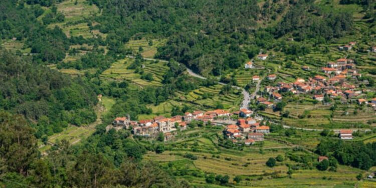 La Comisión presenta un informe que detalla los progresos a largo plazo en las zonas rurales