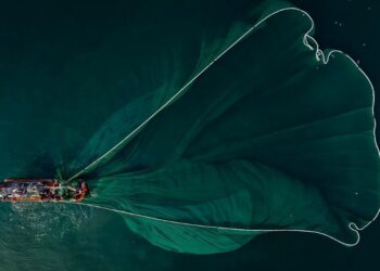 La UE pide a Reino Unido una revisión sobre el cierre de la pesca del lanzón