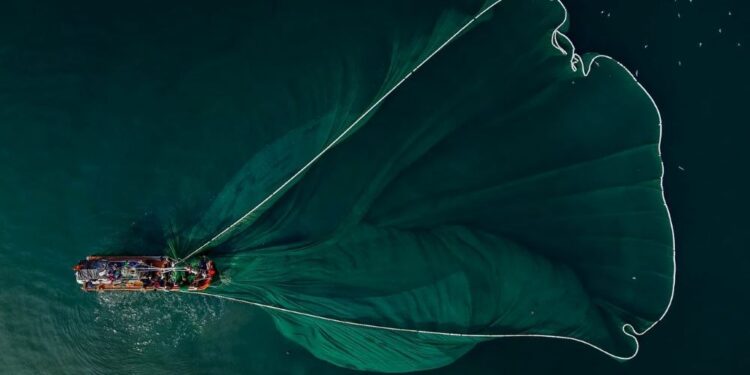 La UE pide a Reino Unido una revisión sobre el cierre de la pesca del lanzón