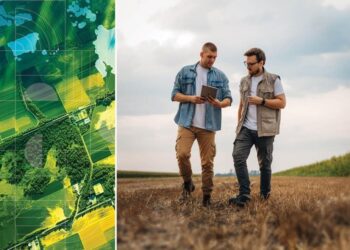 El 33% de agricultores UE dedica más de seis jornadas laborales al año tan sólo a tramitar la PAC