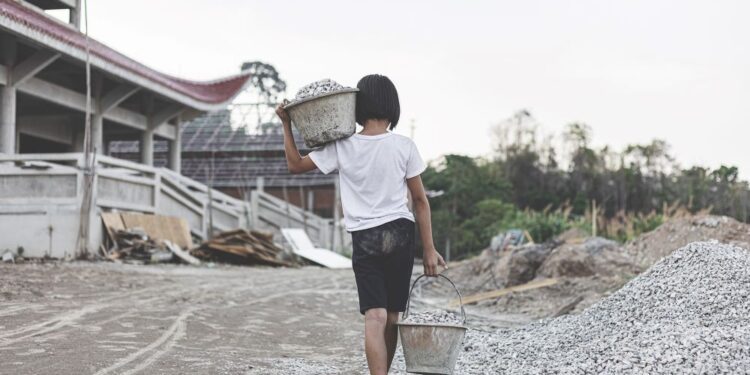 Las empresas deberán acatar nuevas normas en relación al medio ambiente y los derechos humanos