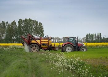 Bruselas prorroga hasta finales de 2024 el marco de las ayudas estatales en apoyo los sectores de agricultura y pesca