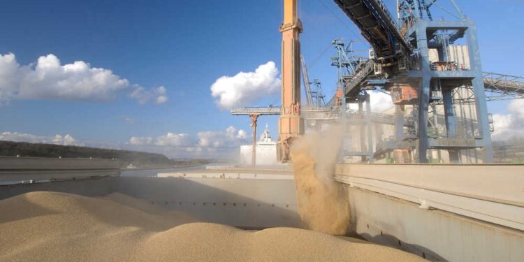 En 2023 el comercio de bienes agrícolas desciende un 3,2%