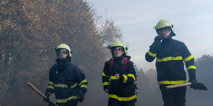 La UE aumenta su preparación para combatir la temporada de incendios forestales de 2024