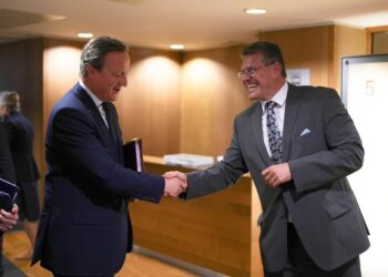 Eefovic y el secretario de Asuntos Exteriores del Reino Unido, David Cameron, se reúnen para reforzar su cooperación para garantizar la paz
