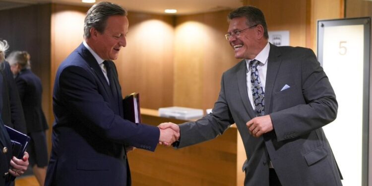 Eefovic y el secretario de Asuntos Exteriores del Reino Unido, David Cameron, se reúnen para reforzar su cooperación para garantizar la paz