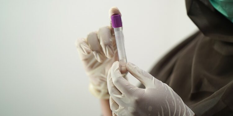 El Consejo aprueba una nueva normativa para mejorar la seguridad y circulación de las sustancias de origen humano