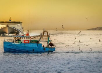 La Comisión solicita a Senegal la necesidad de intensificar la lucha contra la pesca ilegal
