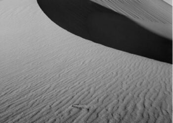 BARRILES POR ALGORITMOS: LOS LÍMITES DEL PROYECTO SAUDÍ EN INTELIGENCIA ARTIFICIAL