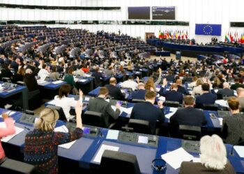 Elecciones Europeas: ¿Y ahora qué?