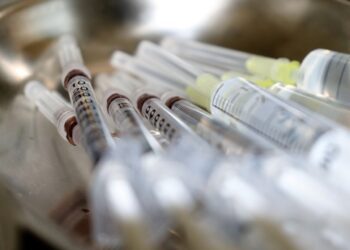 La UE da acceso a 665.000 de vacunas para prevenir la gripe aviar