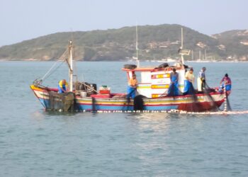 Bruselas inicia consultas sobre eficacia y eficiencia de ayudas a la pesca