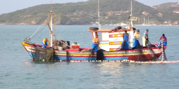 Bruselas inicia consultas sobre eficacia y eficiencia de ayudas a la pesca