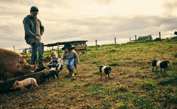 China inicia una investigación ‘antidumping’ sobre las importaciones de cerdo de la UE